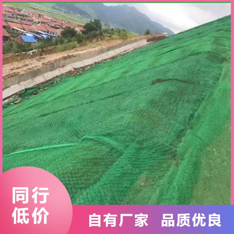 供應(yīng)三維土工網(wǎng)墊_廠家