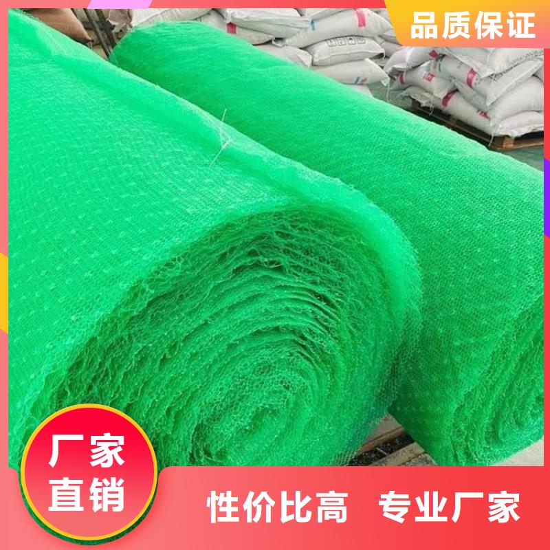 三維植被網(wǎng)護坡報價參數(shù)詳情