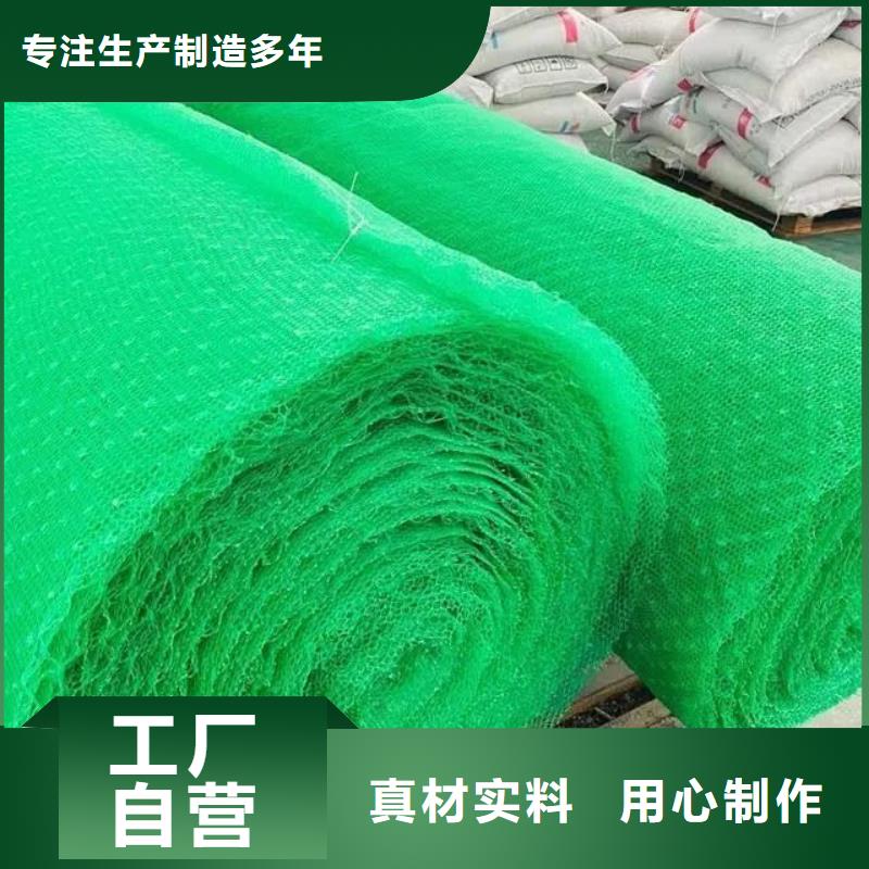 庫存充足的三維土工網(wǎng)植草多少錢一平方批發(fā)商