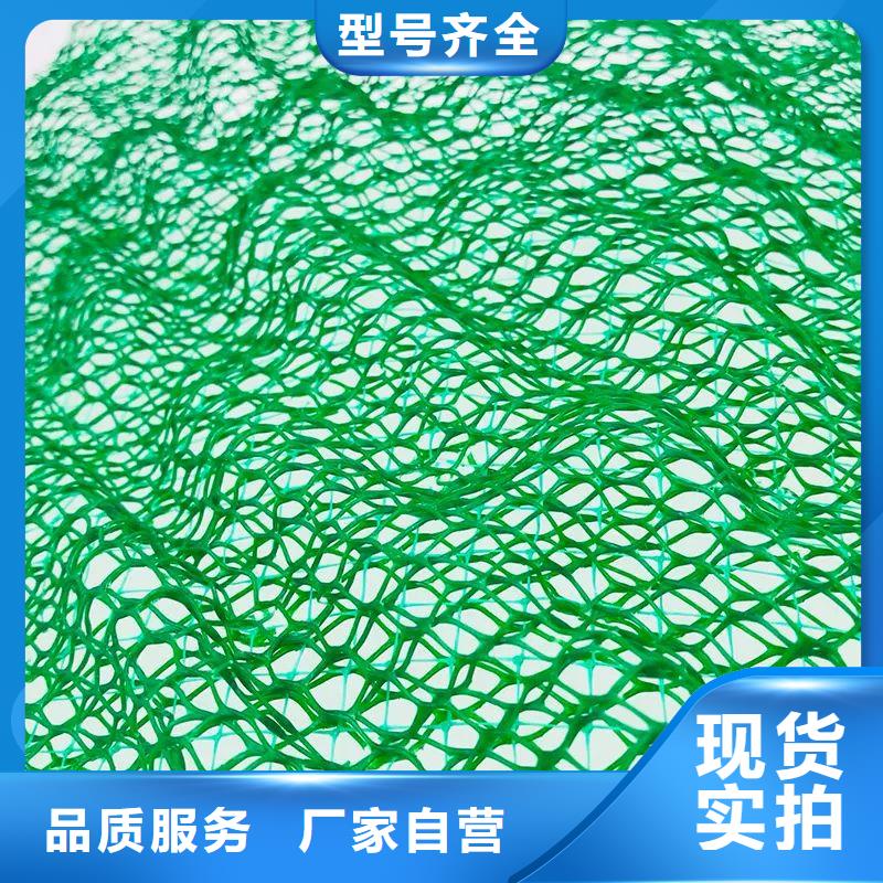 三維土工網(wǎng)植草護(hù)坡貼心服務(wù)