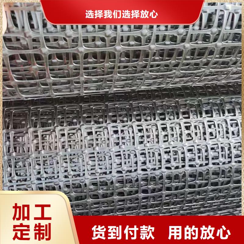 雙向土工格柵批發(fā)價(jià)格廠家