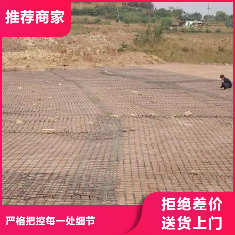 土工格柵歡迎來電廠家