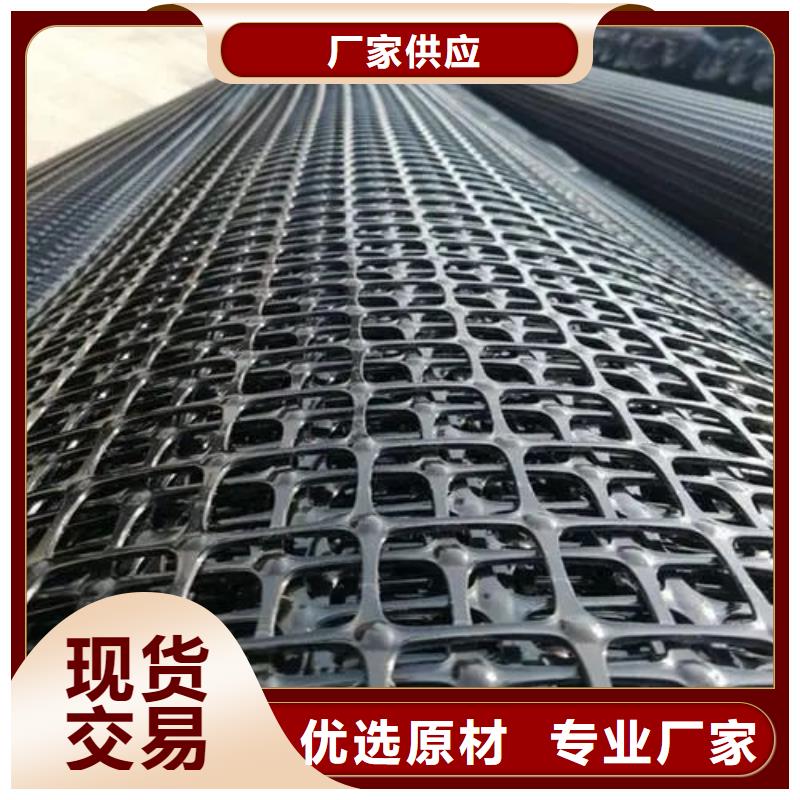 鋼塑土工格柵生產(chǎn)廠家