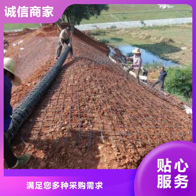 白沙縣土工格柵放心選擇廠家