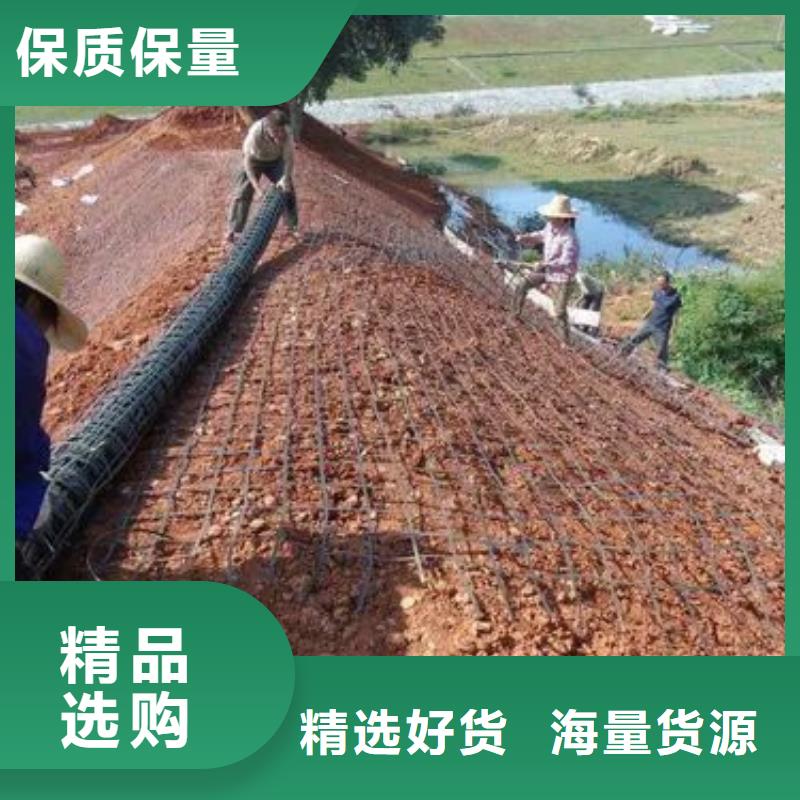 玻纖土工格柵廠家隊伍