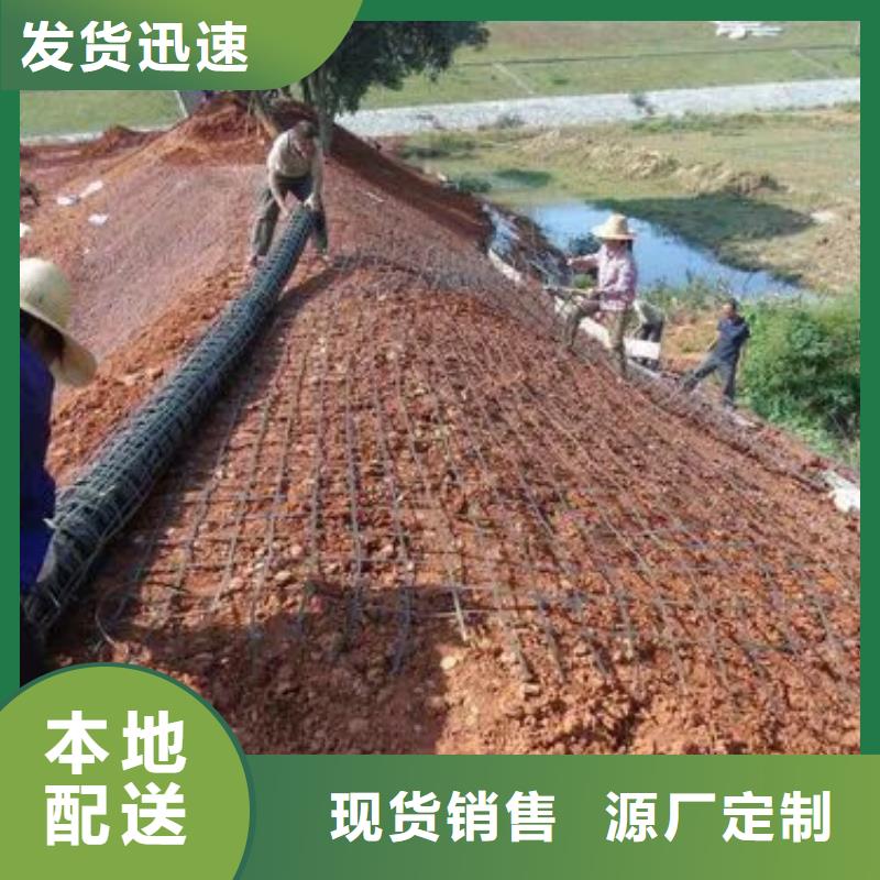 優(yōu)選：三維土工格柵多少錢一平方實力廠家