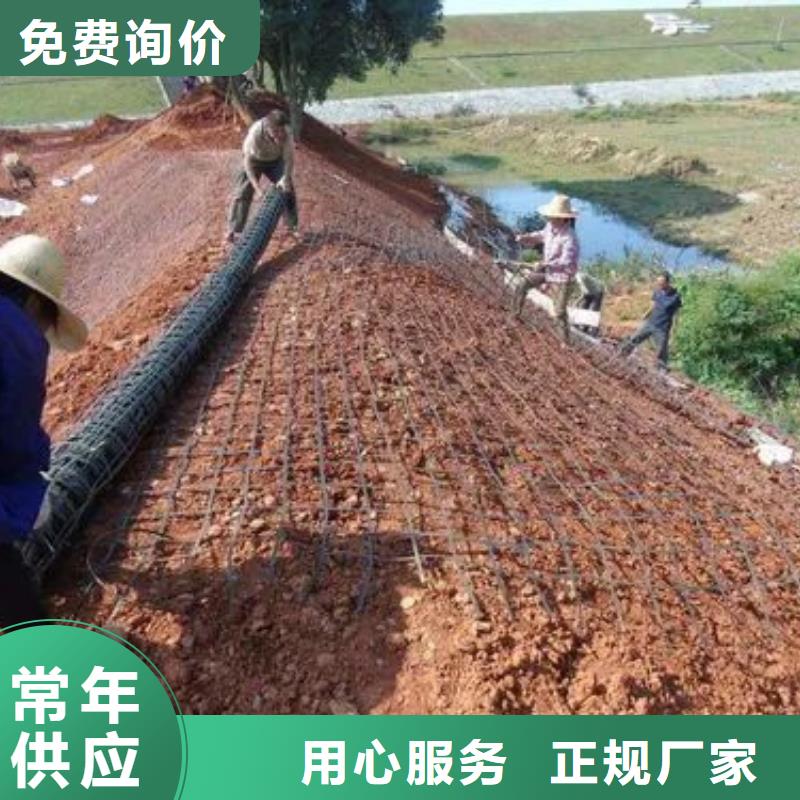 【土工格柵】,銅片止水廠家擁有先進(jìn)的設(shè)備