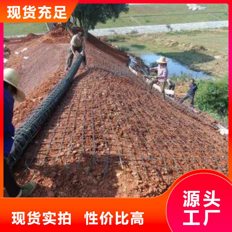 單向土工格柵生產(chǎn)基地電話