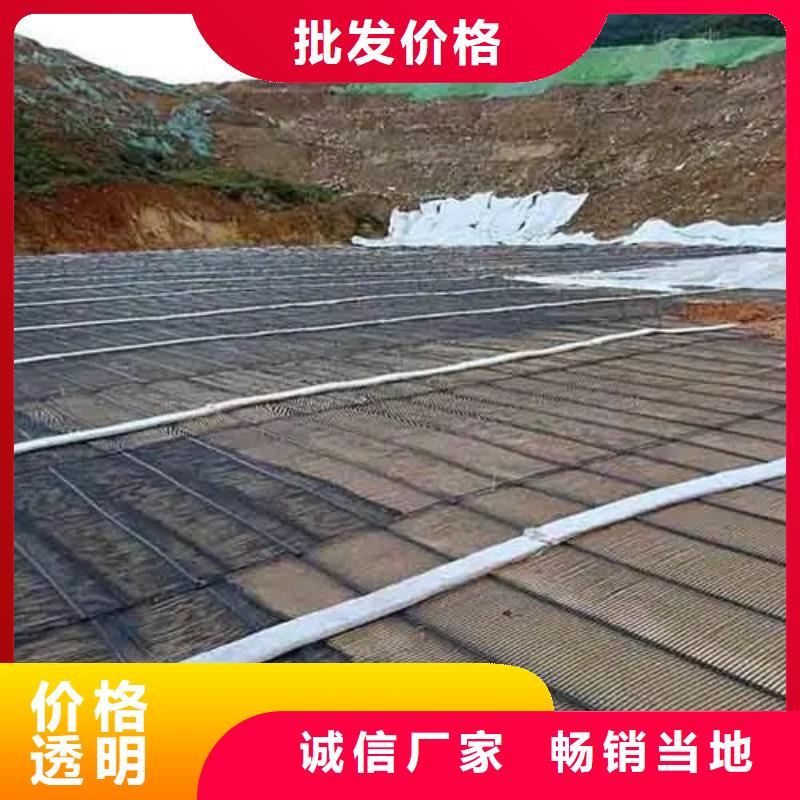 鋼塑土工格柵生產(chǎn)廠家