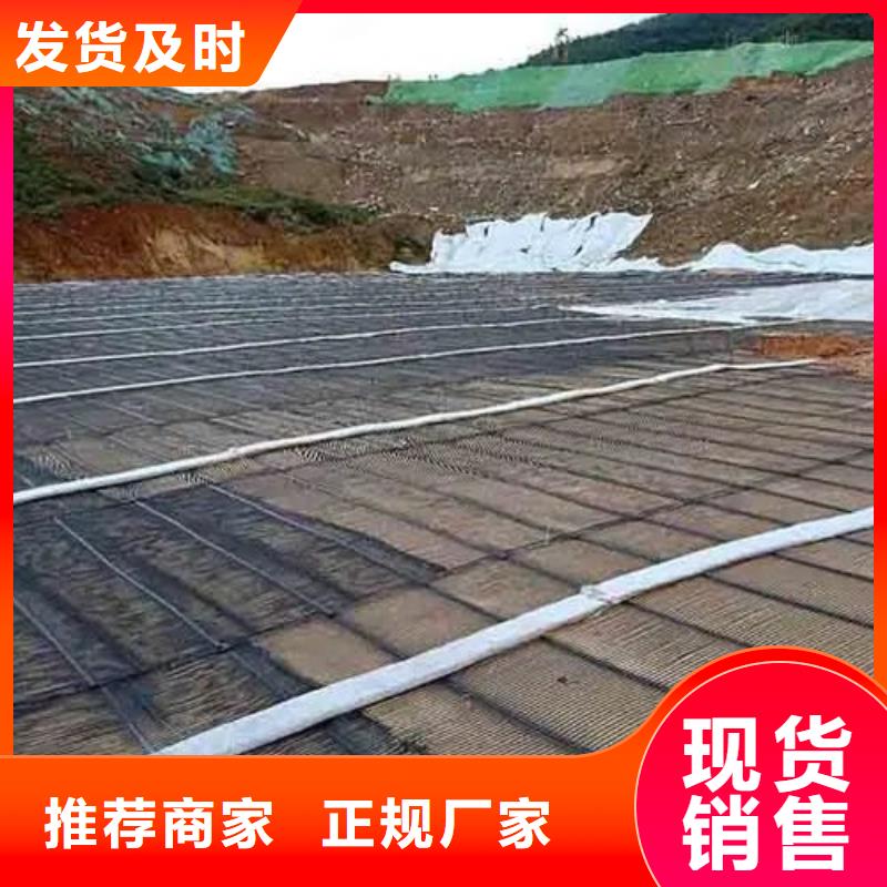 雙向土工格柵歡迎訂購(gòu)廠家