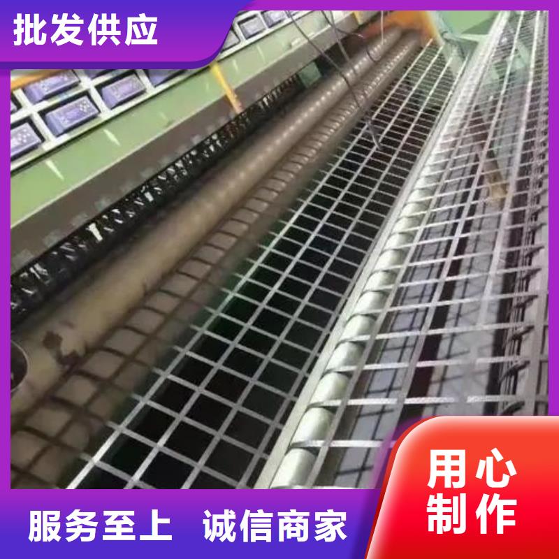 專(zhuān)業(yè)生產(chǎn)制造鋼塑格柵和土工格柵區(qū)別公司