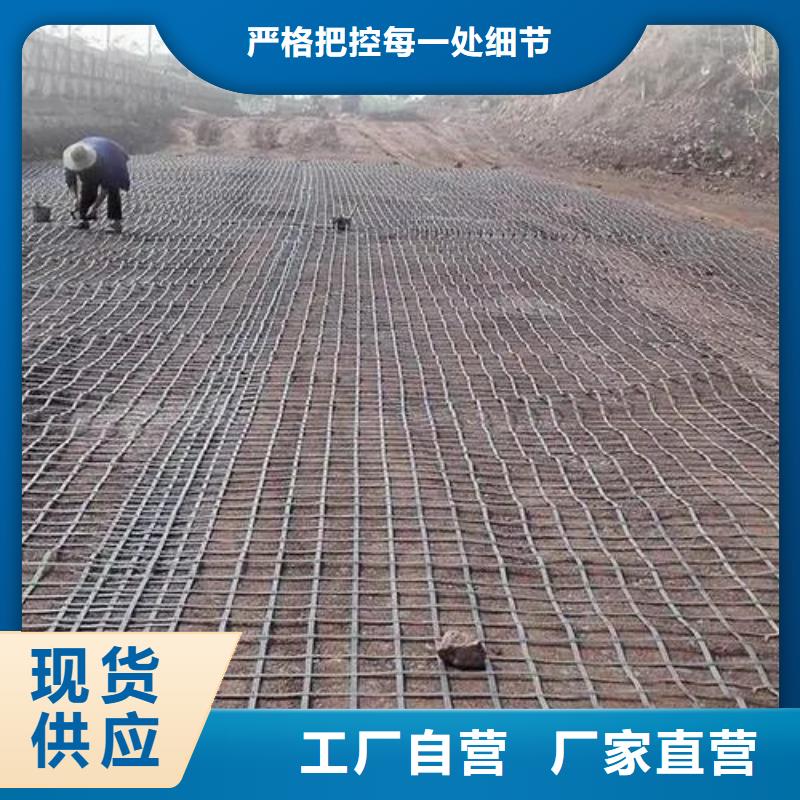 雙向土工格柵批發(fā)零售電話