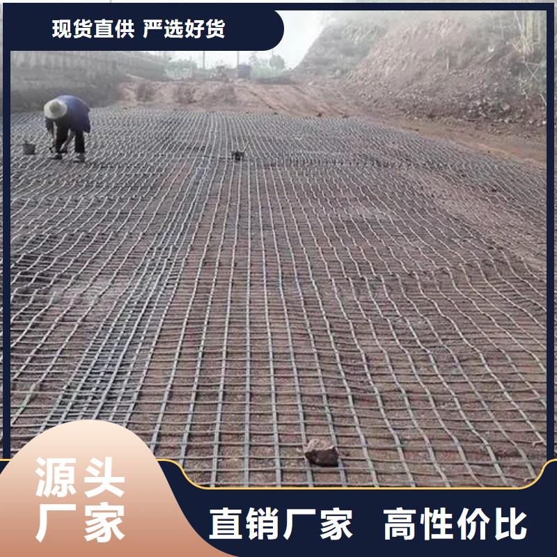 土工格柵實(shí)力雄厚廠家