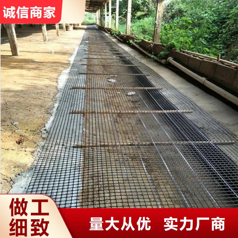 五指山市钢塑土工格栅实体大厂电话