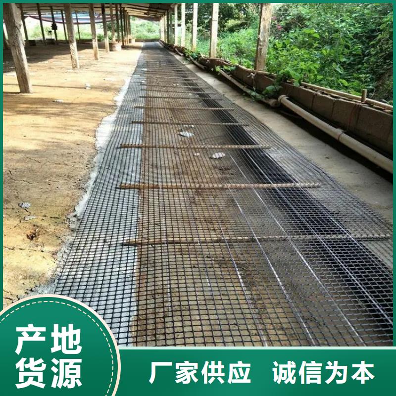 鋼塑格柵在線報(bào)價(jià)廠家