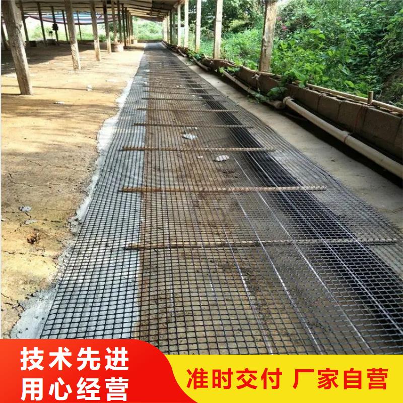 經(jīng)編土工格柵擇優(yōu)廠家