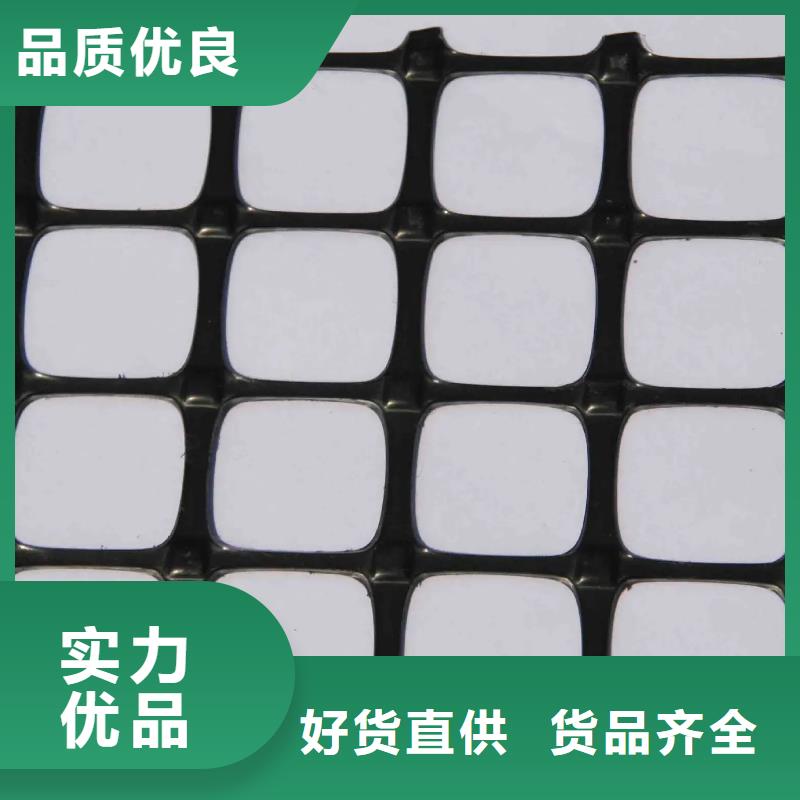 鋼塑土工格柵廠家供應(yīng)廠家