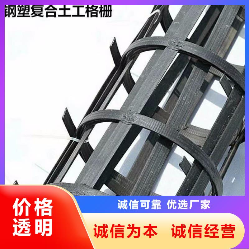 鋼塑土工格柵定制價格廠家
