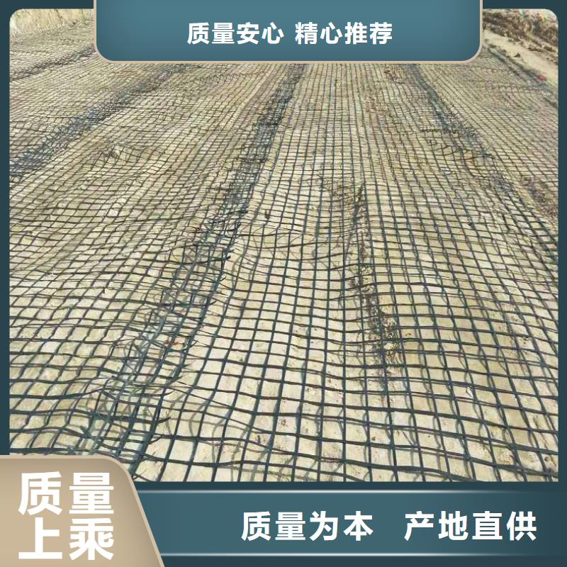 钢塑土工格栅厂家供应厂家