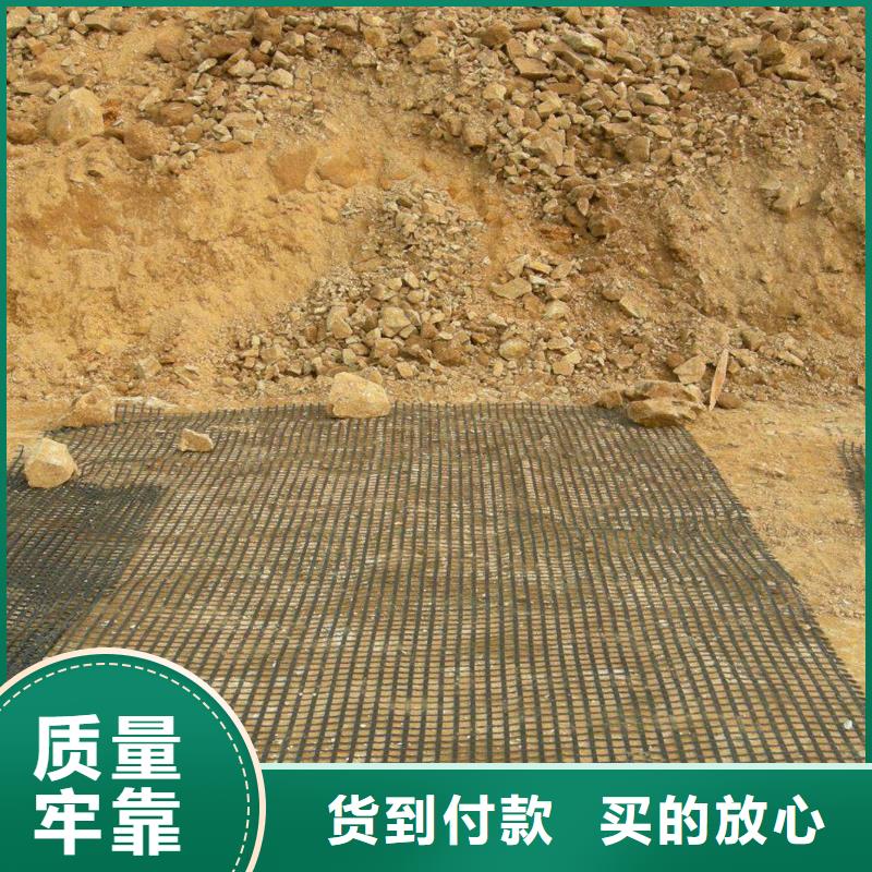 經(jīng)編土工格柵生產(chǎn)基地廠家