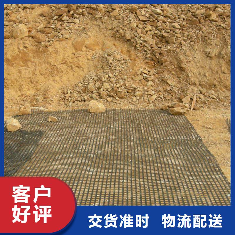 鋼塑土工格柵生產(chǎn)廠家報(bào)價(jià)