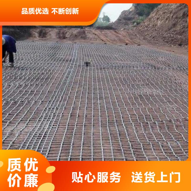三維土工格柵品質(zhì)放心廠家