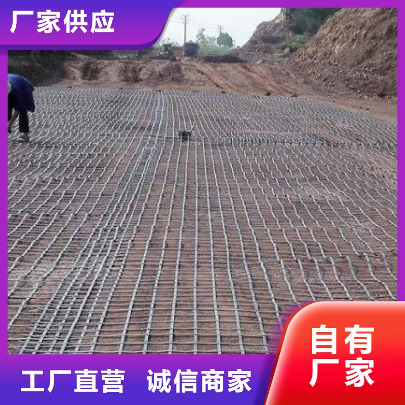 玻纖土工格柵廠家隊伍