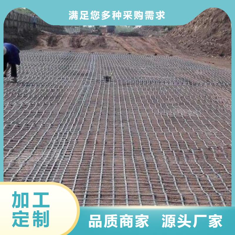 鋼塑土工格柵生產(chǎn)廠家市場(chǎng)報(bào)價(jià)