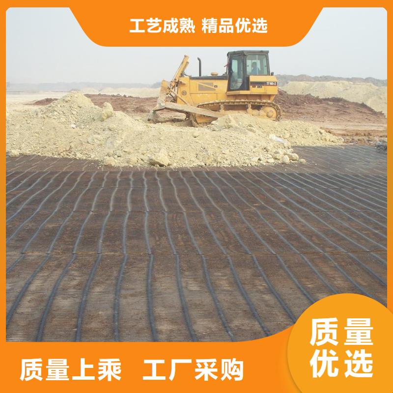 三維土工格柵質(zhì)量優(yōu)廠家