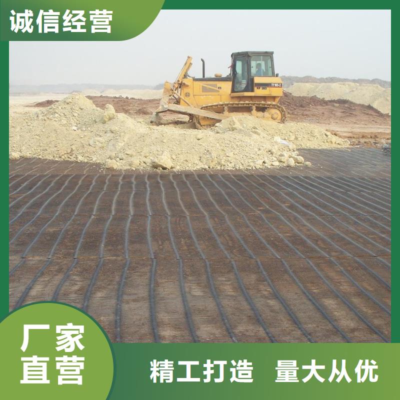 鋼塑土工格柵誠信廠家廠家