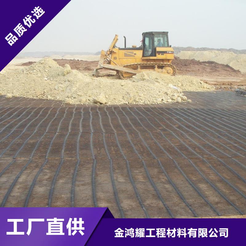 鋼塑土工格柵生產(chǎn)廠家報(bào)價(jià)