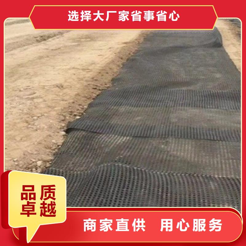 鋼塑土工格柵誠信廠家廠家