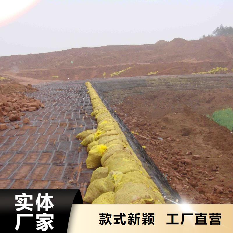 鋼塑土工格柵生產(chǎn)廠家參數(shù)圖文介紹