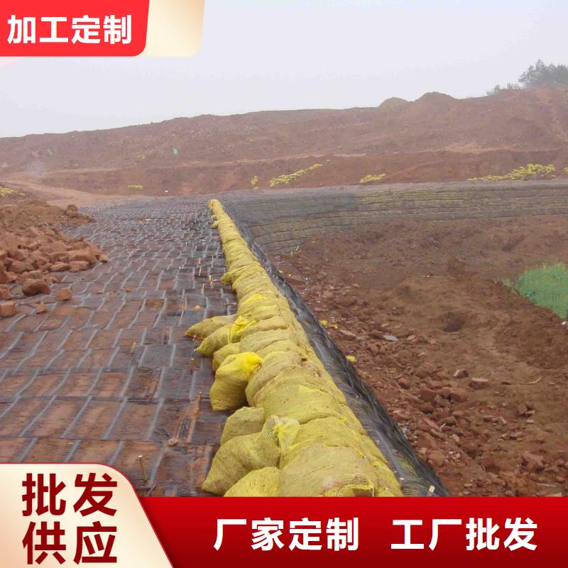 服務(wù)周到的三維土工格柵廠家電話經(jīng)銷商