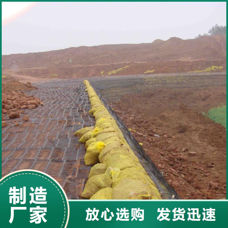 鋼塑格柵貨真價(jià)實(shí)電話