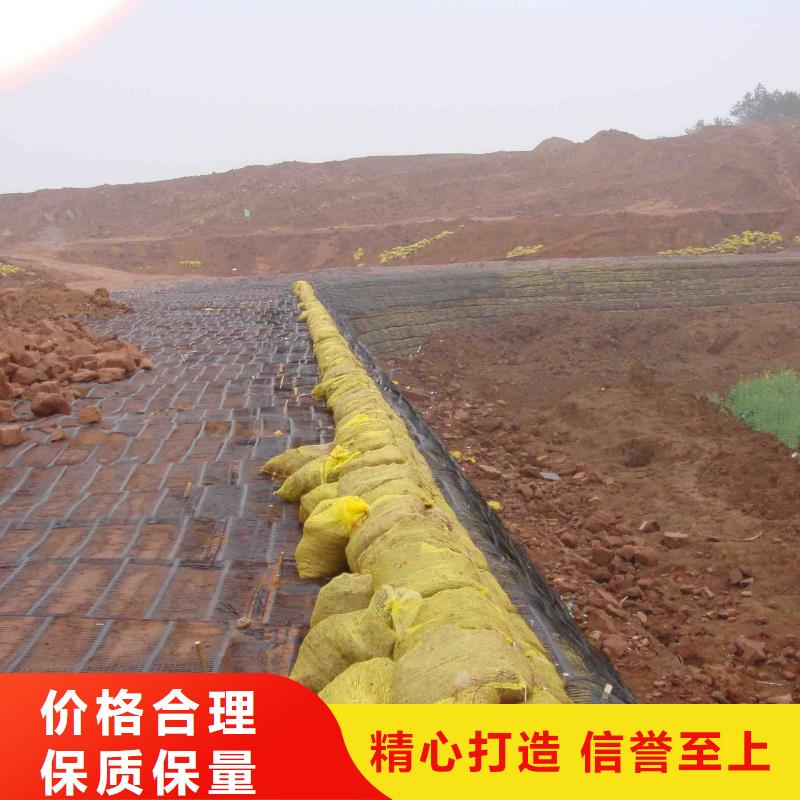 供應土工格柵施工圖片的生產(chǎn)廠家