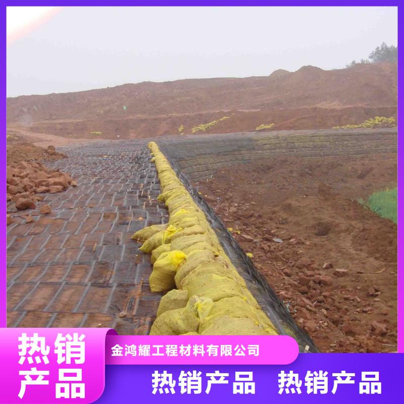 金鴻耀工程材料有限公司土工格柵規(guī)格型號合作案例多