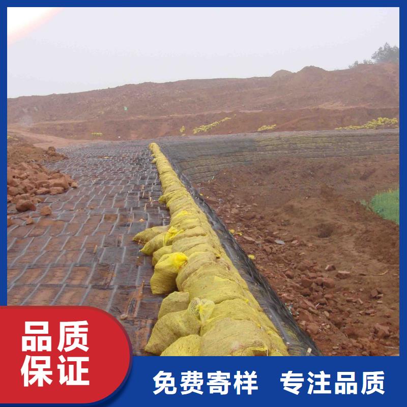 #塑料土工格柵圖片及價格#-全國直銷