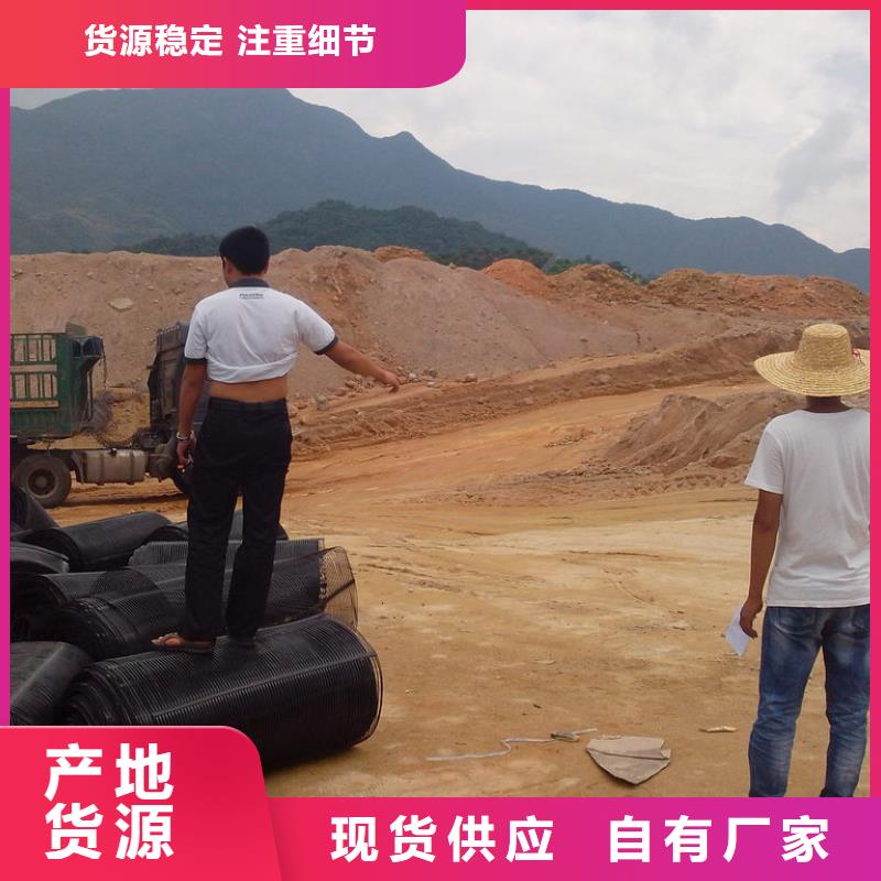 三维土工格栅护坡批发
