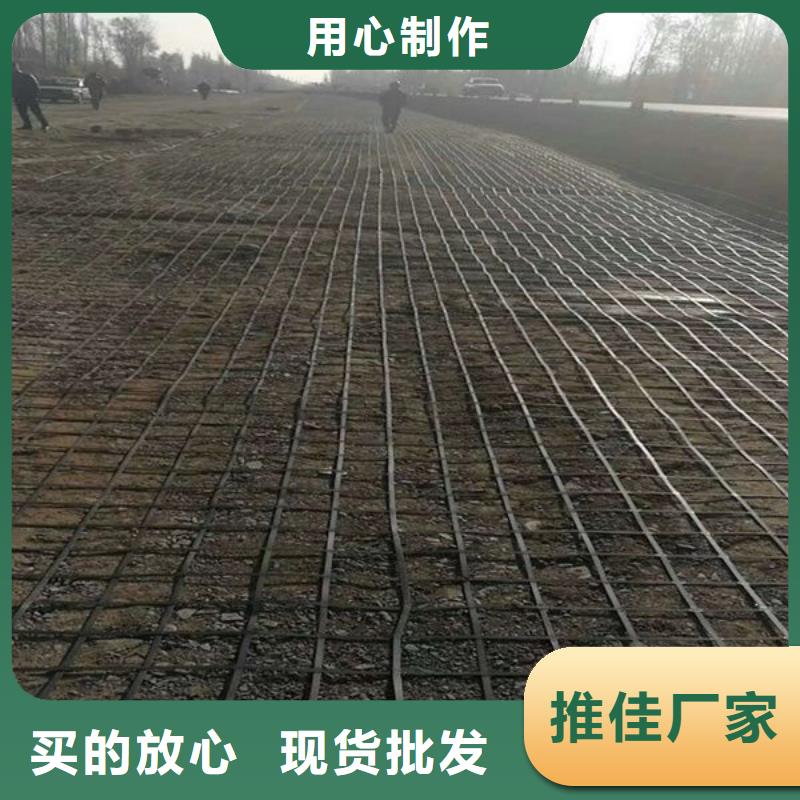 【圖】鋼塑土工格柵生產廠家價格