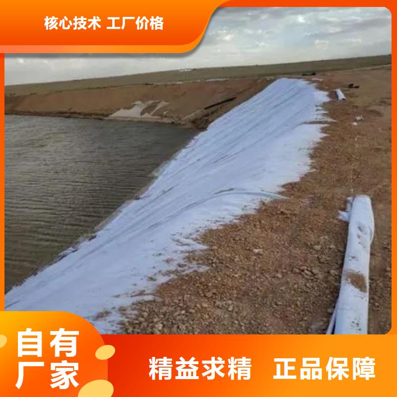 【 土工布_聚乙烯醇纤维有实力有经验】 金鸿耀工程材料(怀化市分公司)