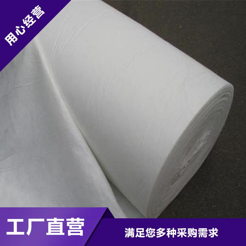 有現(xiàn)貨的土工布批發(fā)哪家便宜經(jīng)銷商
