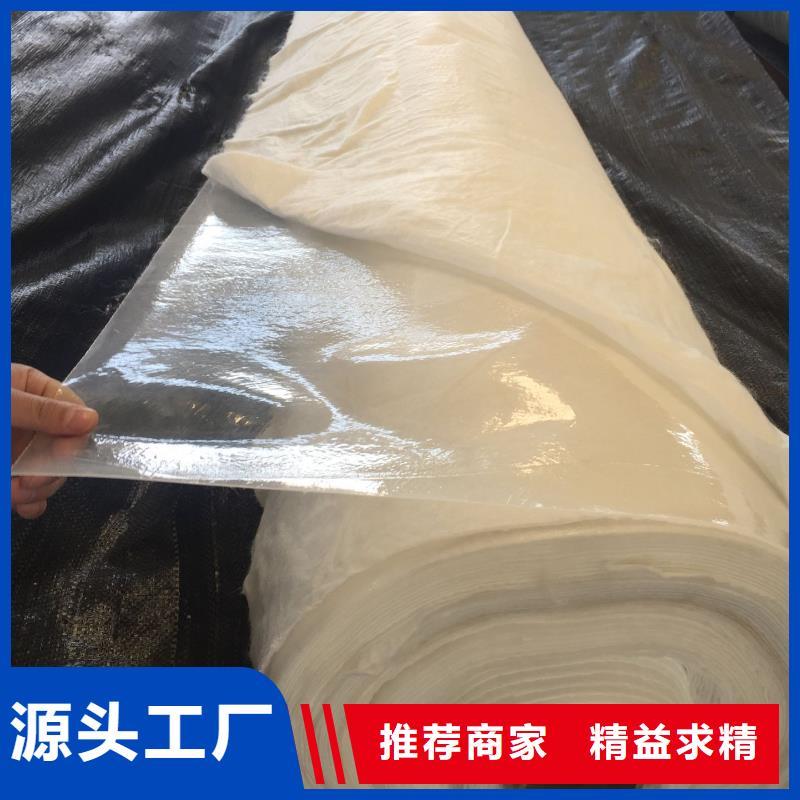 優(yōu)質(zhì)防滲土工布圖片的公司