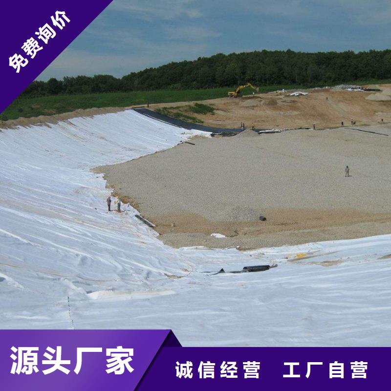 專業(yè)銷售復(fù)合土工布復(fù)合土工膜-現(xiàn)貨供應(yīng)