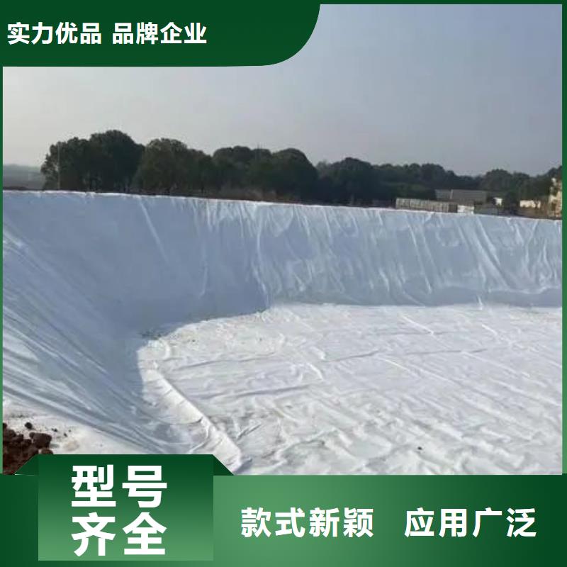 質(zhì)量優(yōu)的滲水土工布作用供應商