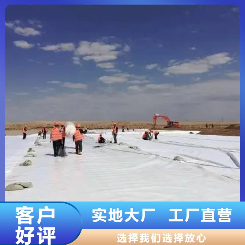 專業(yè)銷售復(fù)合土工布復(fù)合土工膜-現(xiàn)貨供應(yīng)