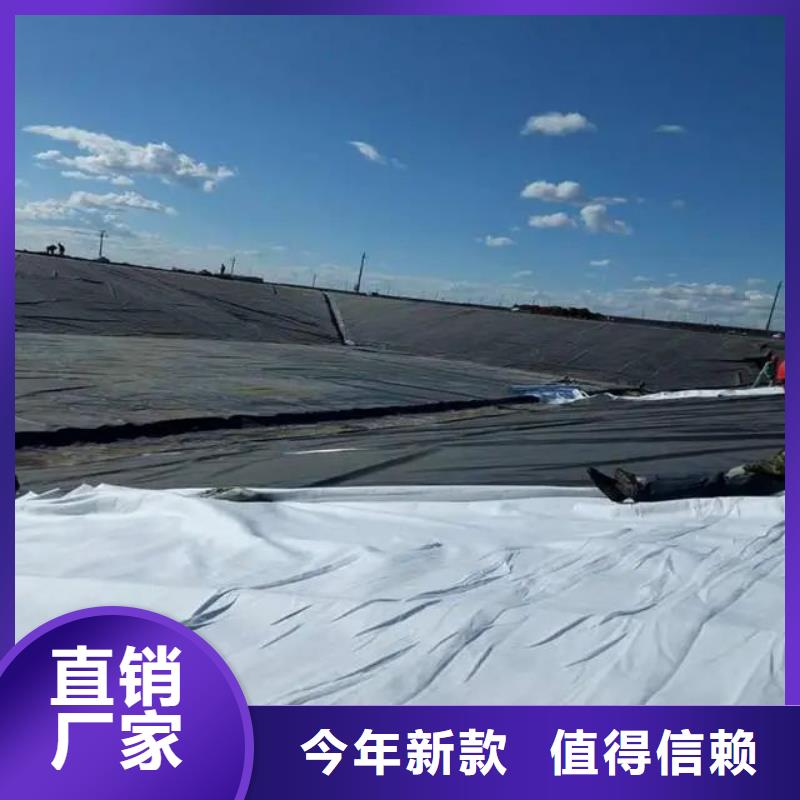 【 土工布_聚乙烯醇纤维有实力有经验】 金鸿耀工程材料(怀化市分公司)