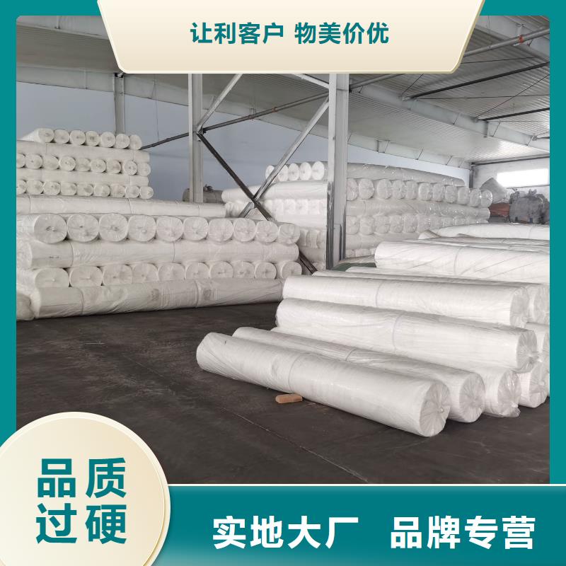 土工布圖片專業(yè)生產(chǎn)廠家