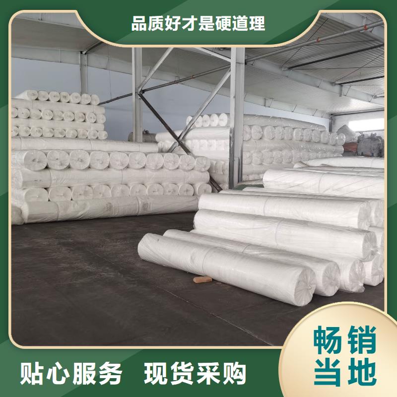 土工布型號(hào)及價(jià)格源頭工廠