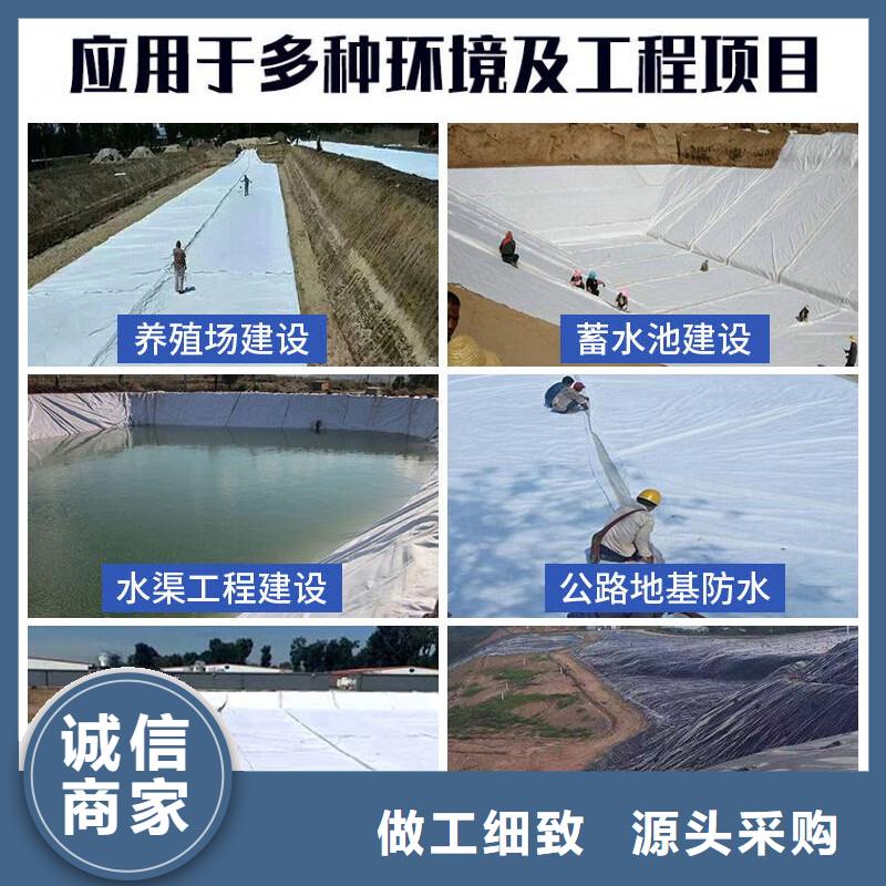 單向透水土工布廠家實(shí)力雄厚